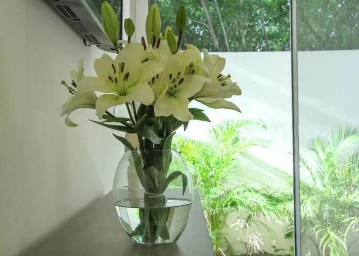 Apartamento Aqua De Sal 01 Private Casa At Aldea Zama Sleeps 5